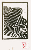 Synspunkt